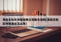 海南玄机区块链有限公司股东结构[海南玄机区块链最近怎么样]