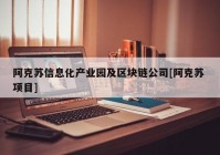 阿克苏信息化产业园及区块链公司[阿克苏 项目]